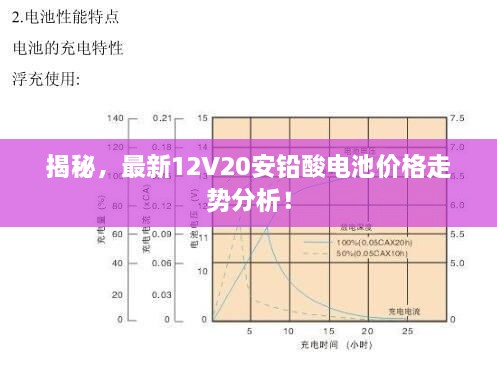 揭秘，最新12V20安鉛酸電池價(jià)格走勢分析！