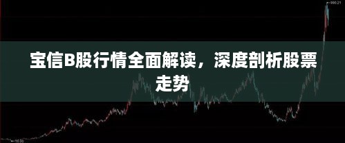 寶信B股行情全面解讀，深度剖析股票走勢(shì)