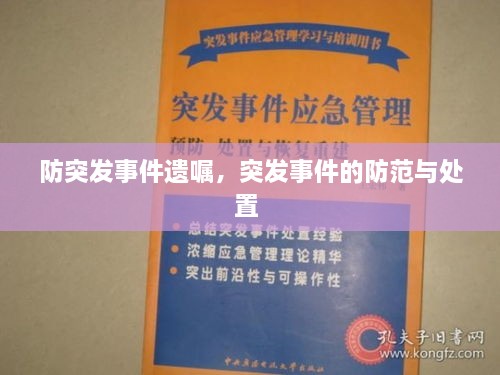 防突發(fā)事件遺囑，突發(fā)事件的防范與處置 