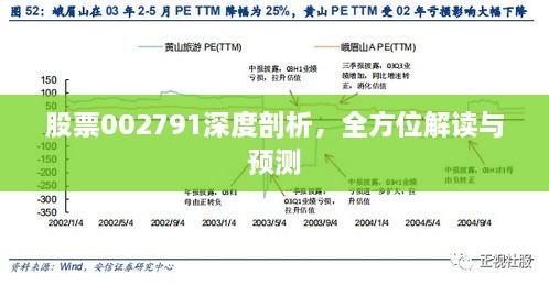 股票002791深度剖析，全方位解讀與預測