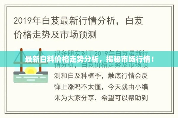 最新白料價格走勢分析，揭秘市場行情！