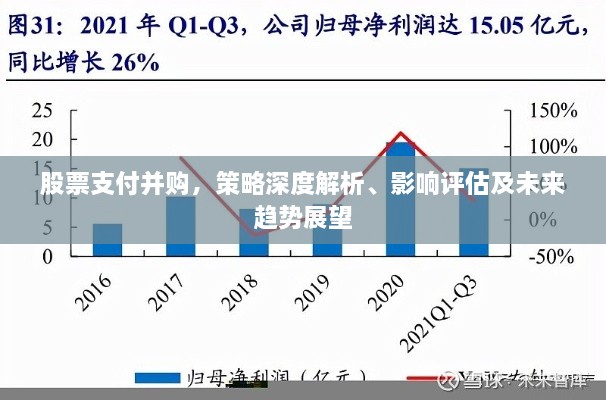股票支付并購，策略深度解析、影響評估及未來趨勢展望