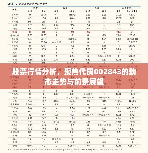 股票行情分析，聚焦代碼002843的動(dòng)態(tài)走勢與前景展望