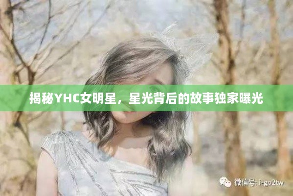 揭秘YHC女明星，星光背后的故事獨家曝光