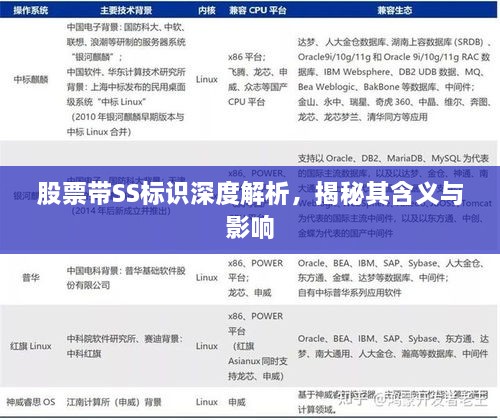 股票帶SS標識深度解析，揭秘其含義與影響