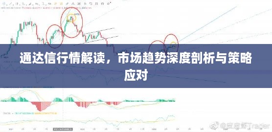 通達(dá)信行情解讀，市場(chǎng)趨勢(shì)深度剖析與策略應(yīng)對(duì)