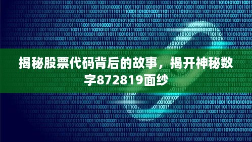 揭秘股票代碼背后的故事，揭開神秘?cái)?shù)字872819面紗