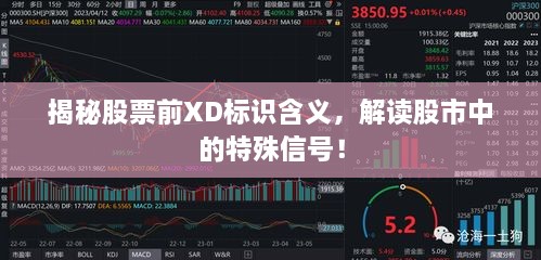 揭秘股票前XD標(biāo)識(shí)含義，解讀股市中的特殊信號(hào)！