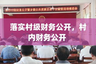 落實(shí)村級財務(wù)公開，村內(nèi)財務(wù)公開 