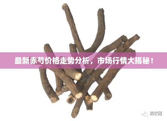 最新赤芍價(jià)格走勢(shì)分析，市場(chǎng)行情大揭秘！