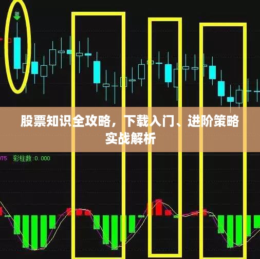 股票知識(shí)全攻略，下載入門、進(jìn)階策略實(shí)戰(zhàn)解析