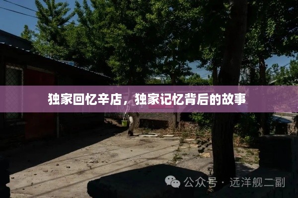 獨(dú)家回憶辛店，獨(dú)家記憶背后的故事 