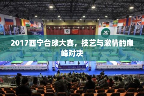 2017西寧臺(tái)球大賽，技藝與激情的巔峰對(duì)決