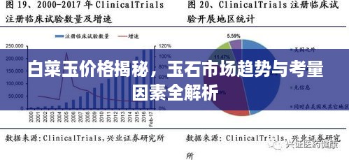 白菜玉價格揭秘，玉石市場趨勢與考量因素全解析