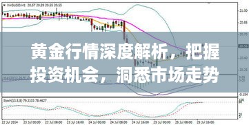 黃金行情深度解析，把握投資機會，洞悉市場走勢