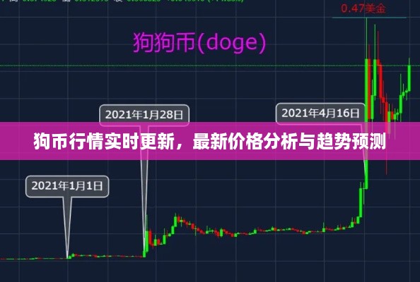 狗幣行情實時更新，最新價格分析與趨勢預(yù)測