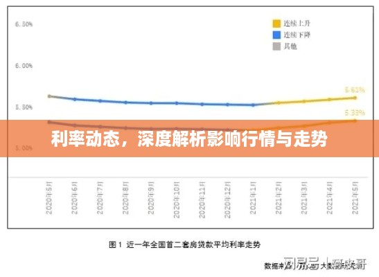 利率動態(tài)，深度解析影響行情與走勢