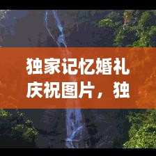 獨家記憶婚禮慶祝圖片，獨家記憶圖片唯美 