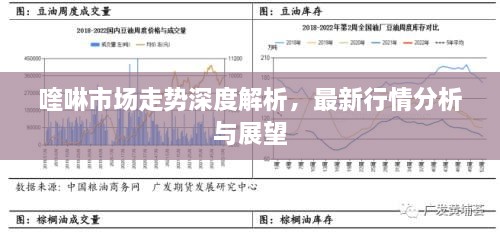 喹啉市場(chǎng)走勢(shì)深度解析，最新行情分析與展望