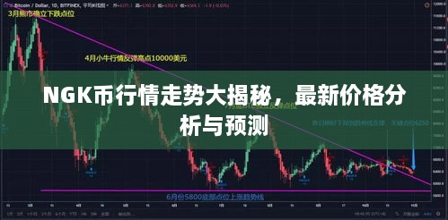 NGK幣行情走勢大揭秘，最新價格分析與預測