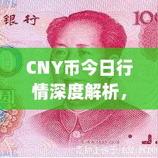 CNY幣今日行情深度解析，最新價格動態(tài)一網(wǎng)打盡！