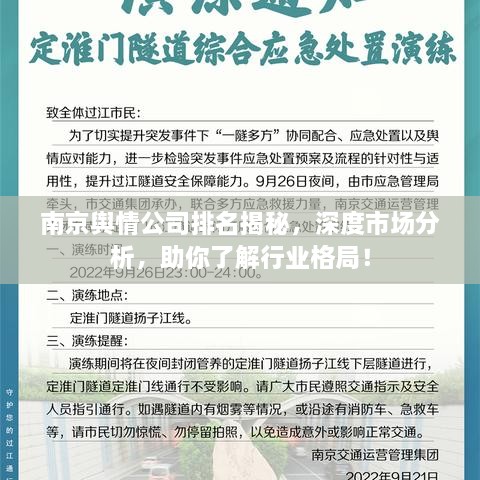 南京輿情公司排名揭秘，深度市場分析，助你了解行業(yè)格局！