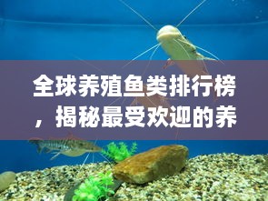 全球養(yǎng)殖魚類排行榜，揭秘最受歡迎的養(yǎng)殖魚類種類！