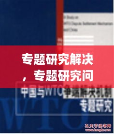 專題研究解決，專題研究問(wèn)題 