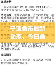 寧波魚市最新動態(tài)，今日魚價(jià)、市場走勢及影響因素全解析