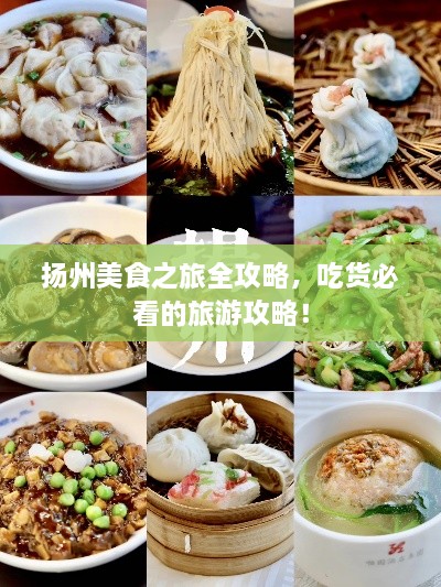 揚(yáng)州美食之旅全攻略，吃貨必看的旅游攻略！