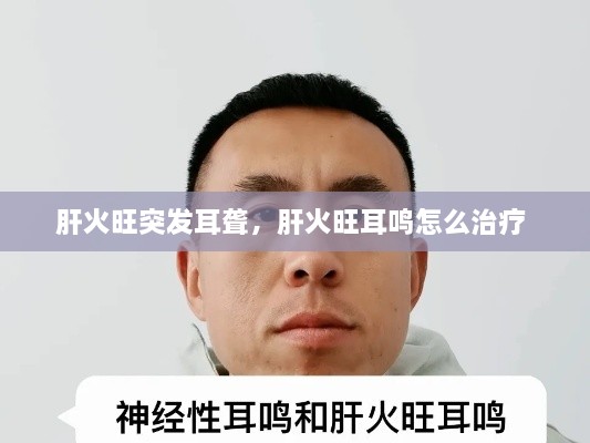 肝火旺突發(fā)耳聾，肝火旺耳鳴怎么治療 