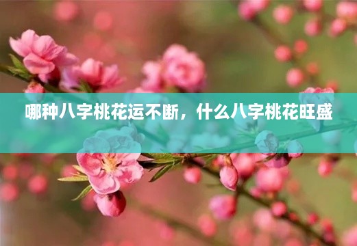 哪種八字桃花運不斷，什么八字桃花旺盛 