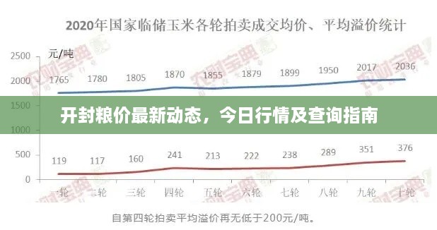 開(kāi)封糧價(jià)最新動(dòng)態(tài)，今日行情及查詢(xún)指南