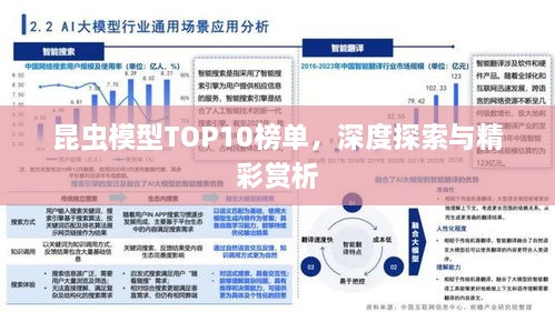 昆蟲模型TOP10榜單，深度探索與精彩賞析