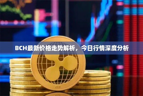 BCH最新價格走勢解析，今日行情深度分析