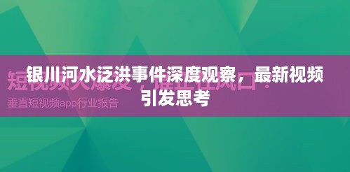 銀川河水泛洪事件深度觀察，最新視頻引發(fā)思考