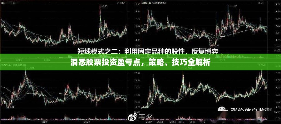 洞悉股票投資盈虧點(diǎn)，策略、技巧全解析