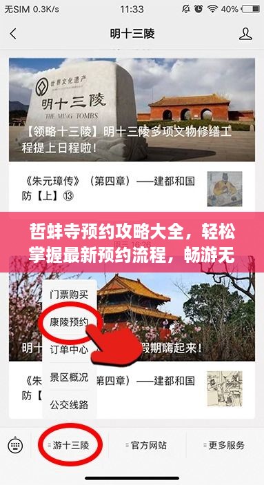 哲蚌寺預約攻略大全，輕松掌握最新預約流程，暢游無阻！