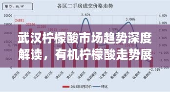 武漢檸檬酸市場趨勢深度解讀，有機檸檬酸走勢展望