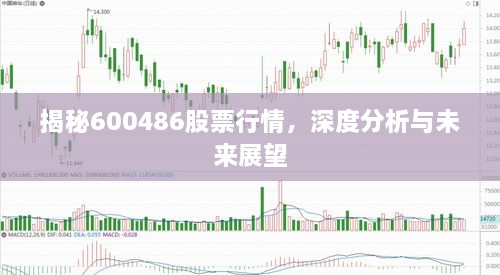 揭秘600486股票行情，深度分析與未來(lái)展望