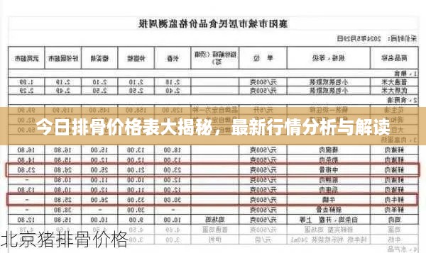 今日排骨價(jià)格表大揭秘，最新行情分析與解讀