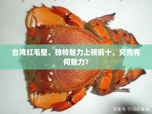 臺(tái)灣紅毛蟹，獨(dú)特魅力上榜前十，究竟有何魅力？