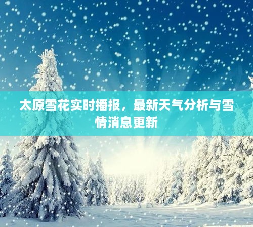 太原雪花實(shí)時(shí)播報(bào)，最新天氣分析與雪情消息更新