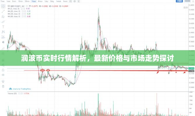 潤波幣實時行情解析，最新價格與市場走勢探討