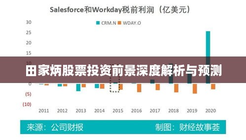 田家炳股票投資前景深度解析與預測