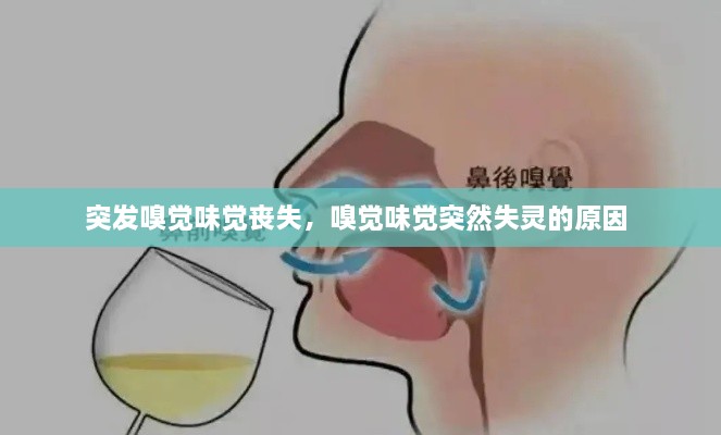 突發(fā)嗅覺味覺喪失，嗅覺味覺突然失靈的原因 