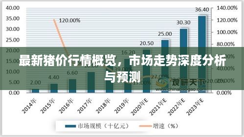 最新豬價行情概覽，市場走勢深度分析與預(yù)測