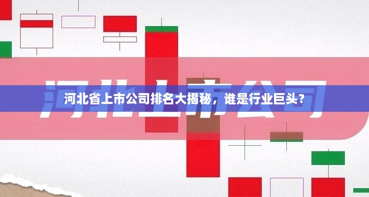 河北省上市公司排名大揭秘，誰是行業(yè)巨頭？