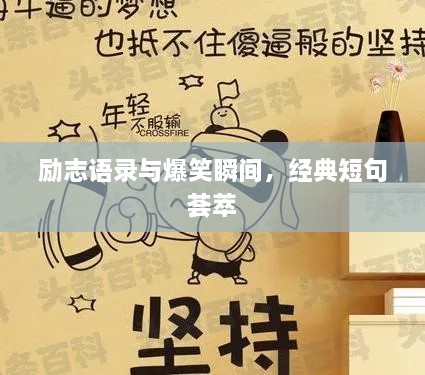 勵(lì)志語(yǔ)錄與爆笑瞬間，經(jīng)典短句薈萃