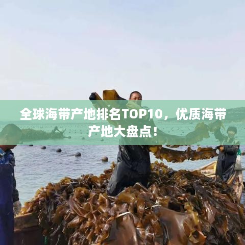 全球海帶產地排名TOP10，優(yōu)質海帶產地大盤點！